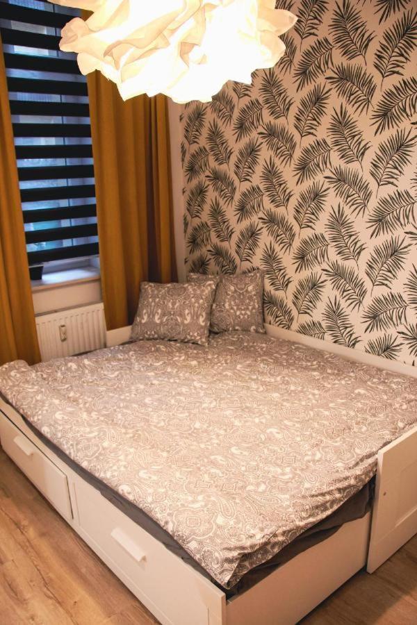 Apartament Apartament Kattowitz *